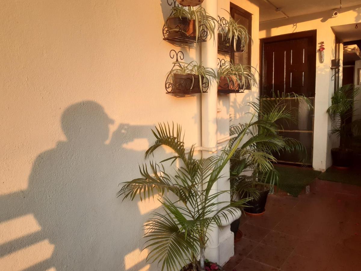 Tiny House For Couple Apartamento Madikeri Exterior foto